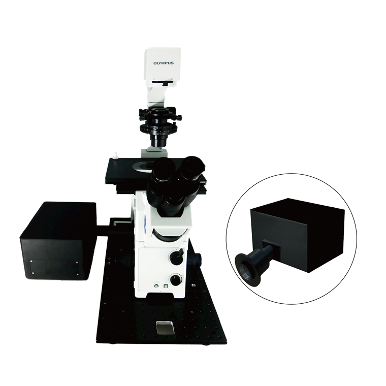 Southport - JadeBio-UP Southport - JadeBio-UP